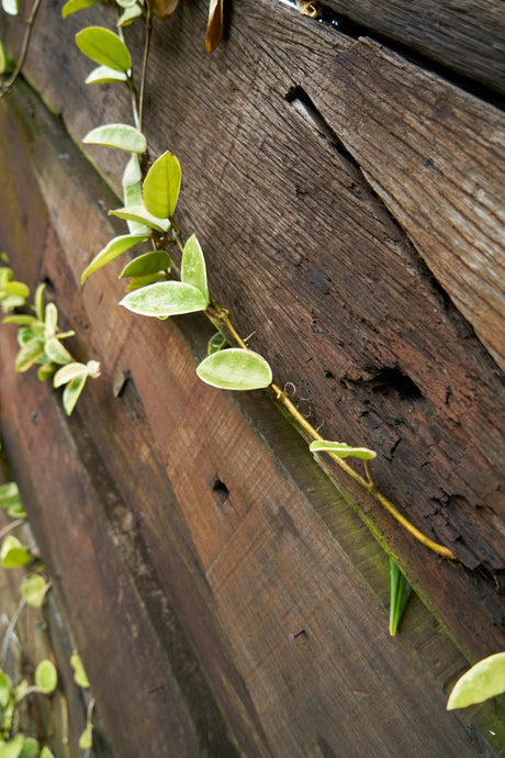 What to Know Before You Order Reclaimed Sleepers