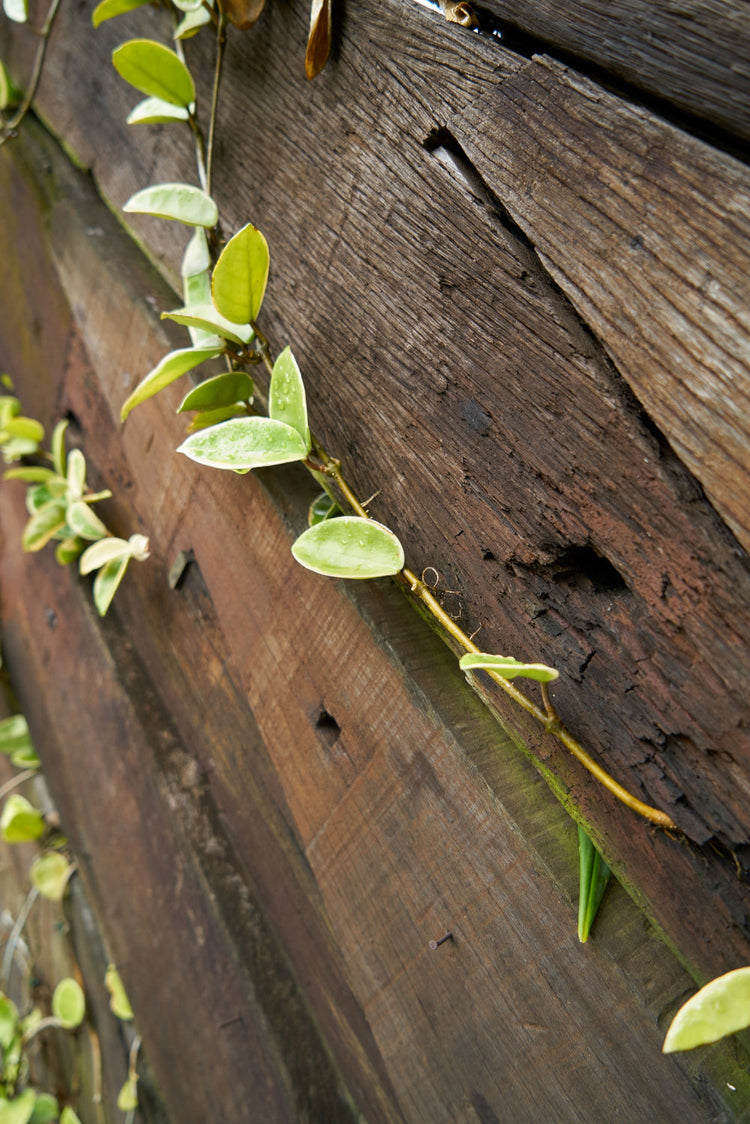 What to Know Before You Order Reclaimed Sleepers