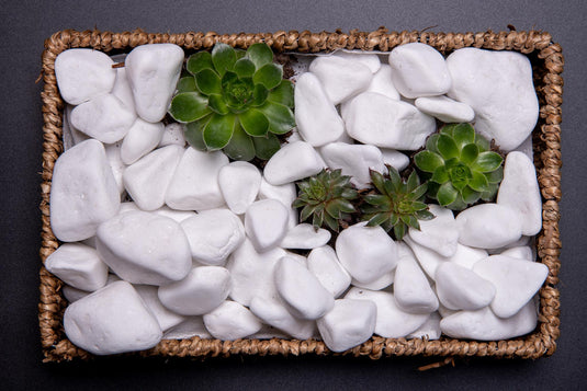 Snow-White Thassos Marble Pebbles